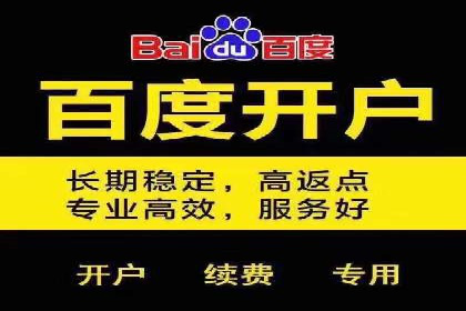 案例解析：关键词竞价排名策略调整